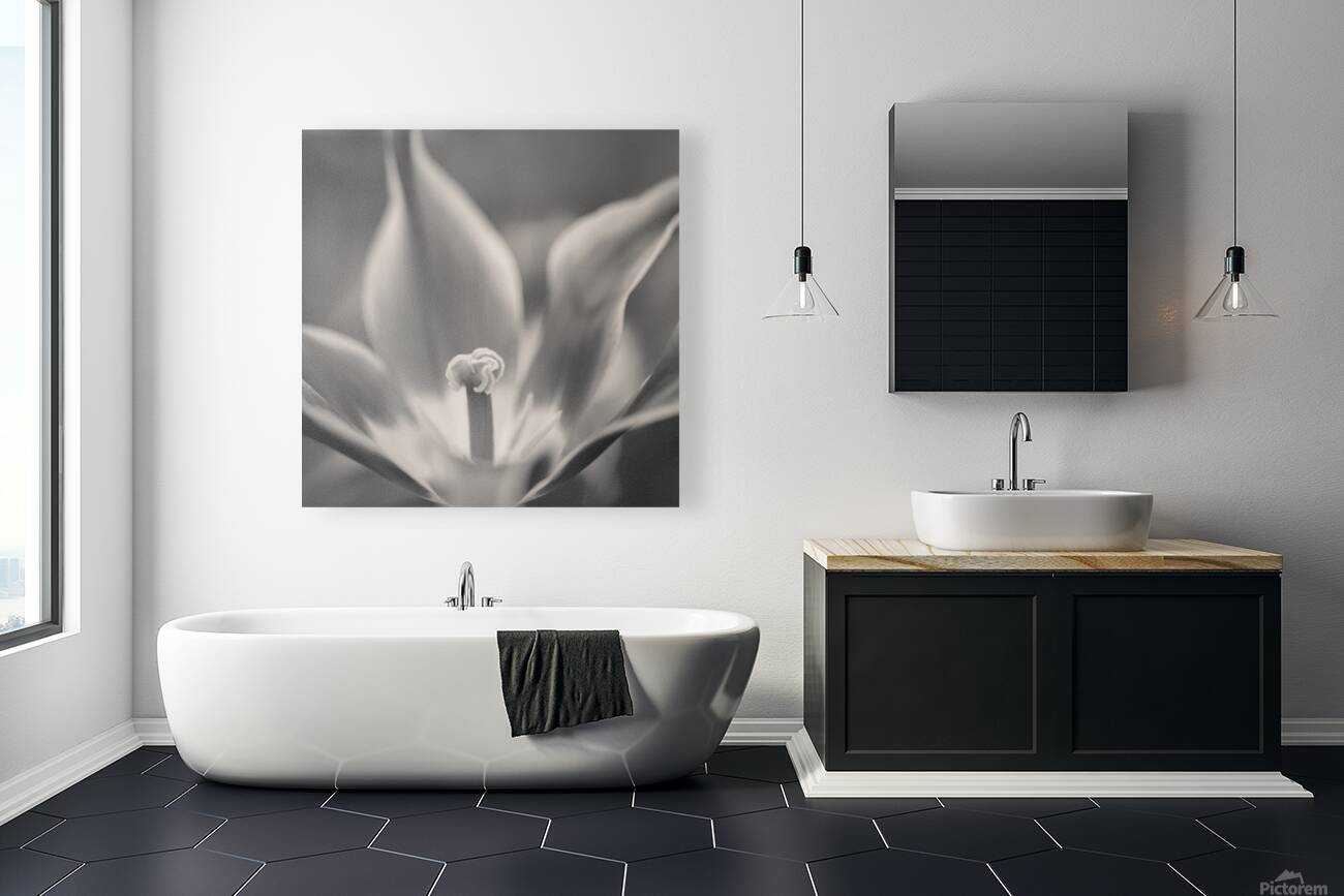 Tulip Pistil Reproduction