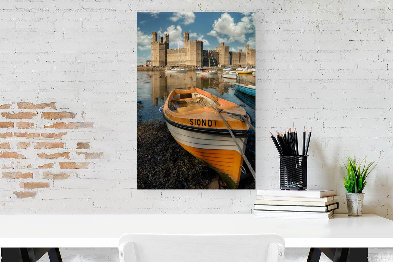 Caernarfon Castle Harbour Reproduction