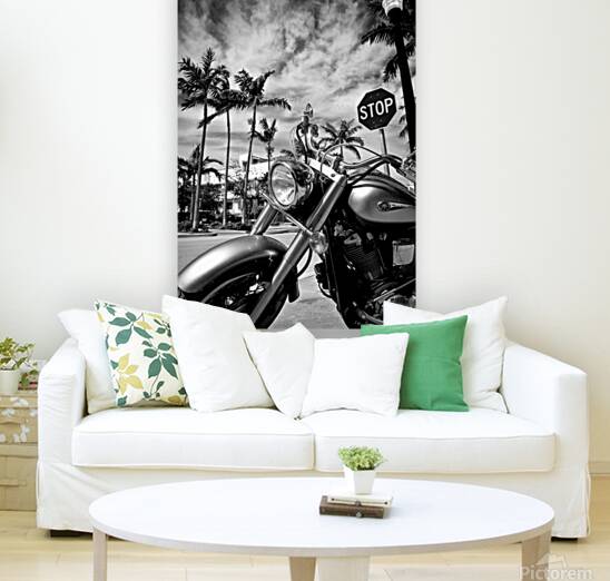 South Beach Cruiser Reproduction