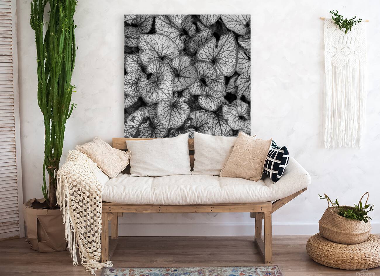 Jack Frost Plant Reproduction