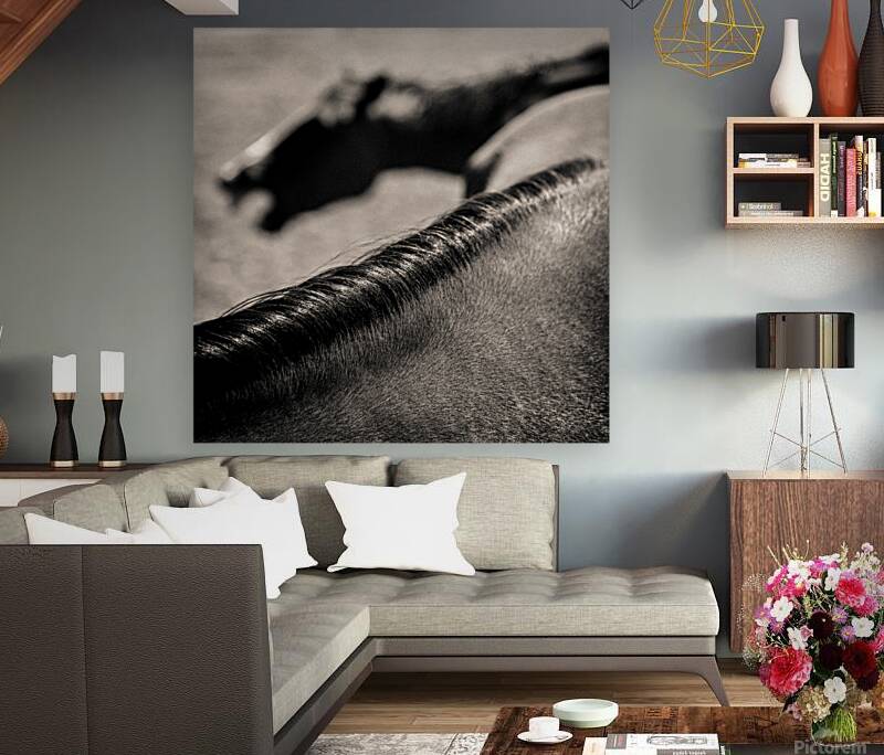 Horse Play Reproduction