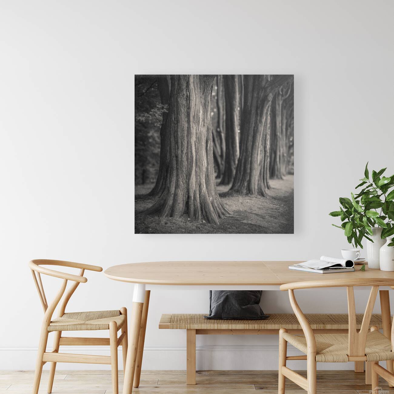 Plas Newydd Trees Reproduction