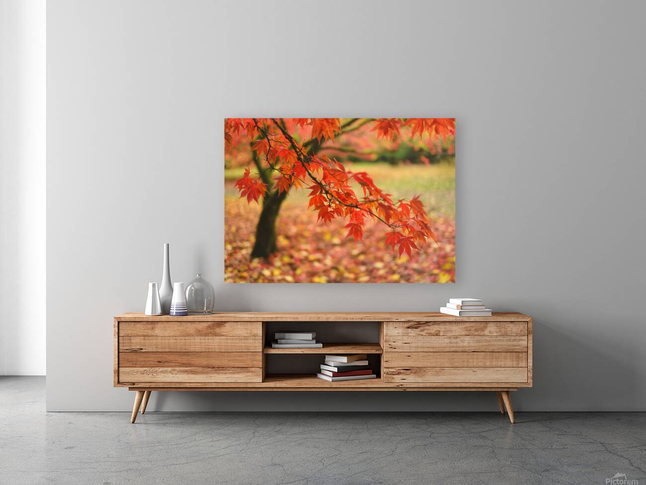 Autumn Japanese Maple Reproduction