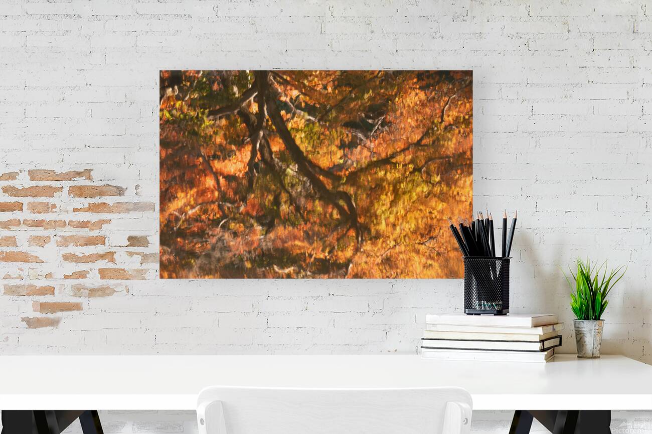 Shinjuku Gyoen Autumn Reflection Reproduction