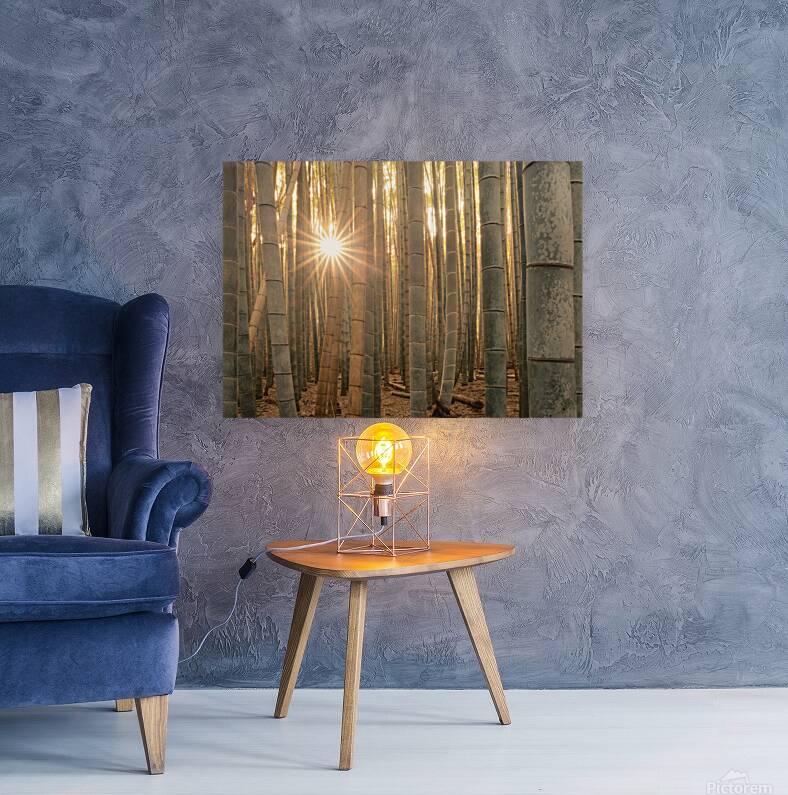 Sunlight in the Bamboo Forest Reproduction