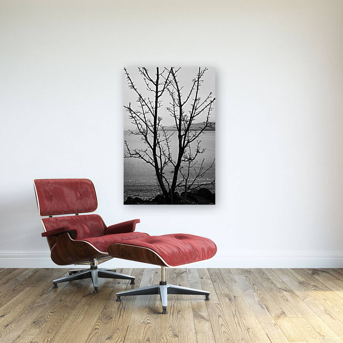 Islay Tree Reproduction