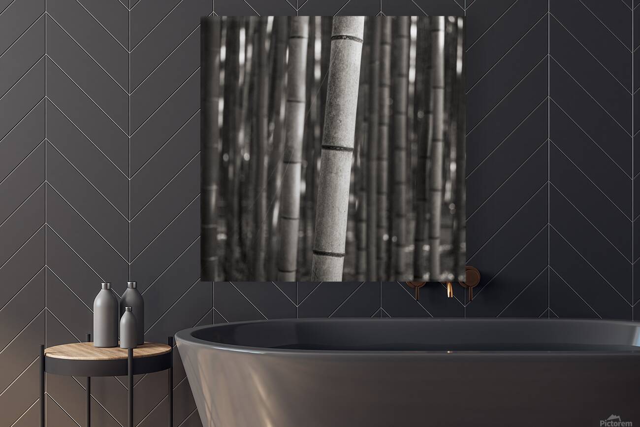 Arashiyama Bamboo Reproduction