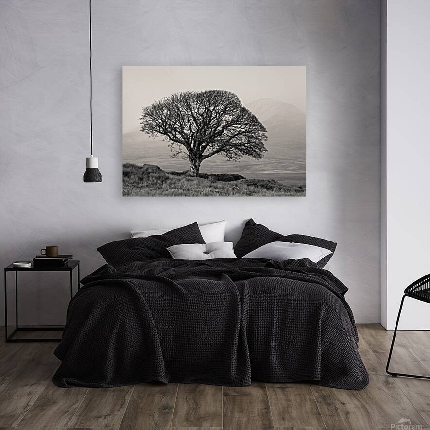 Islay Sentinel Reproduction