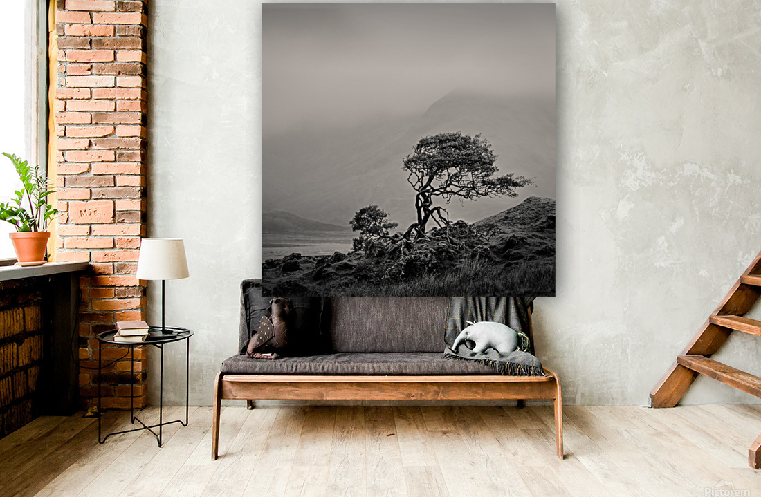 Skye Tree Reproduction