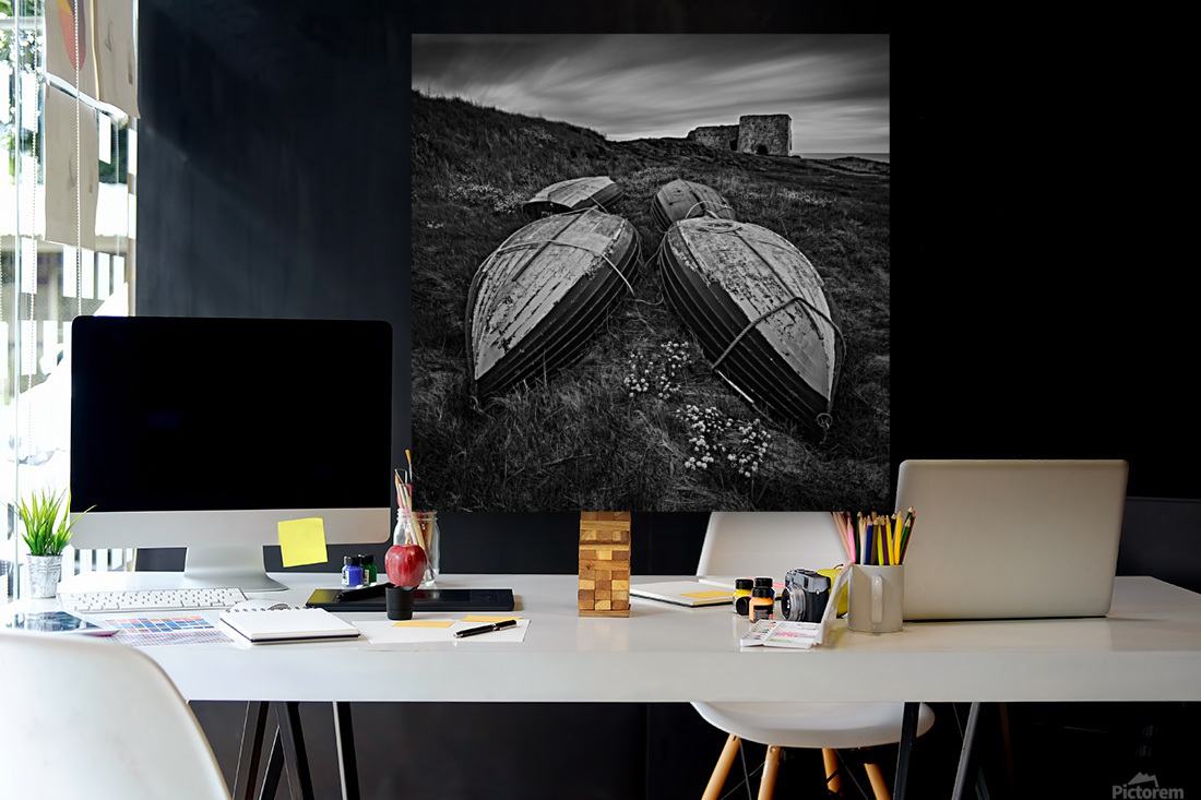 Boddin Point Reproduction