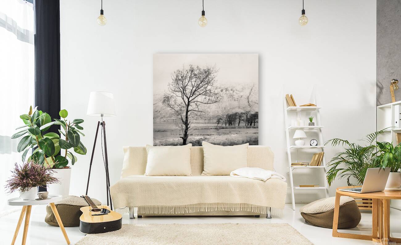 Loch Etive Tree Reproduction