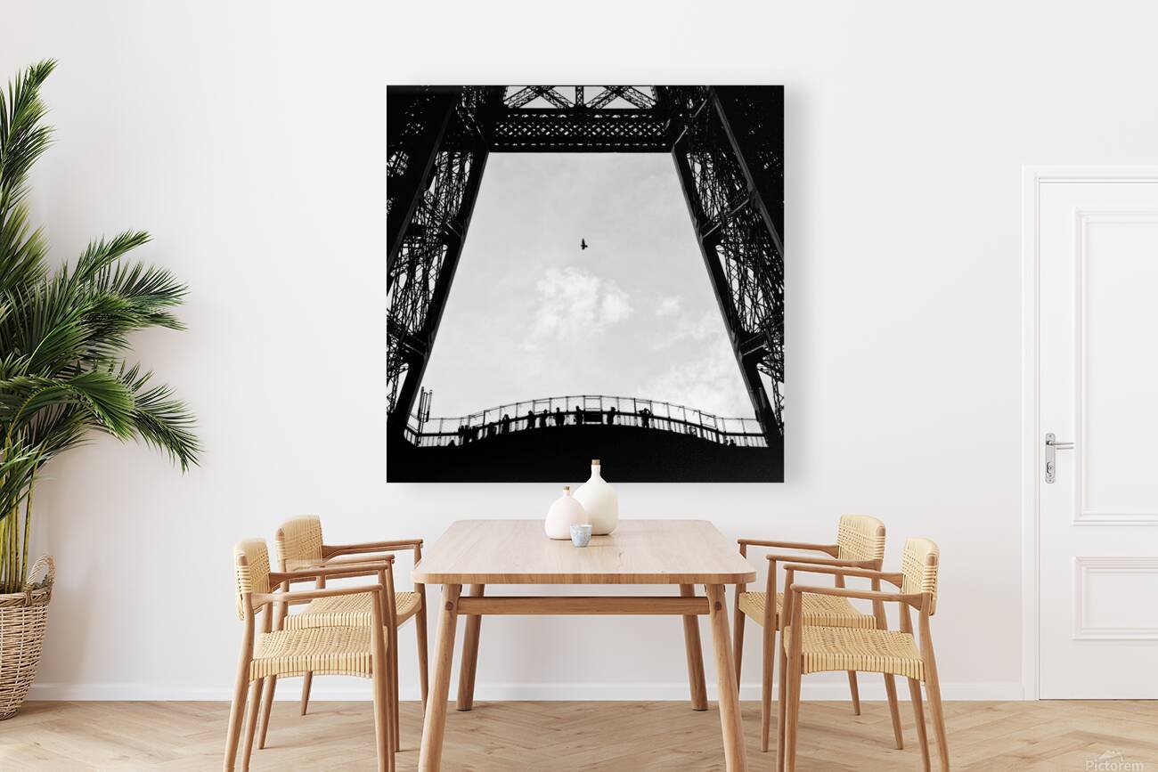 Birds-Eye View Reproduction