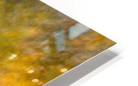 Autumn Shimmer HD Metal print