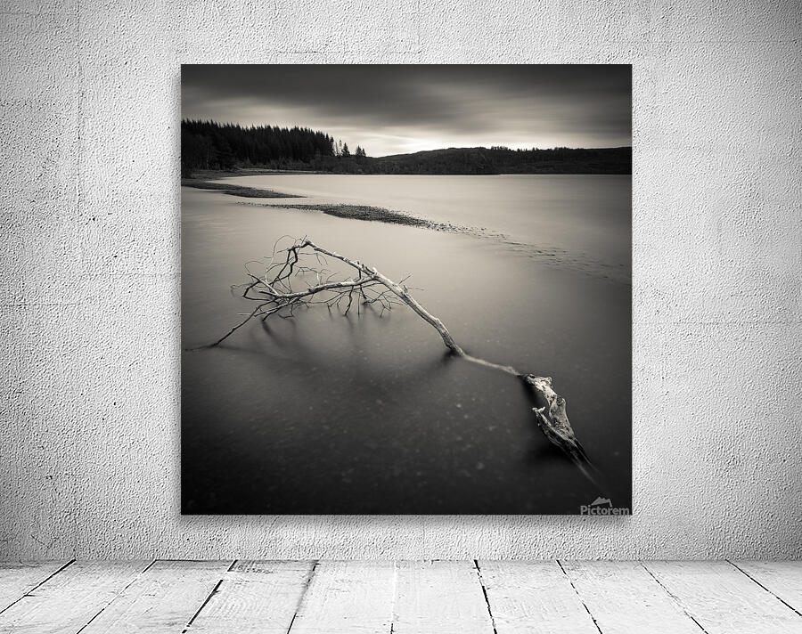 Loch Avich Branch Wall Preview