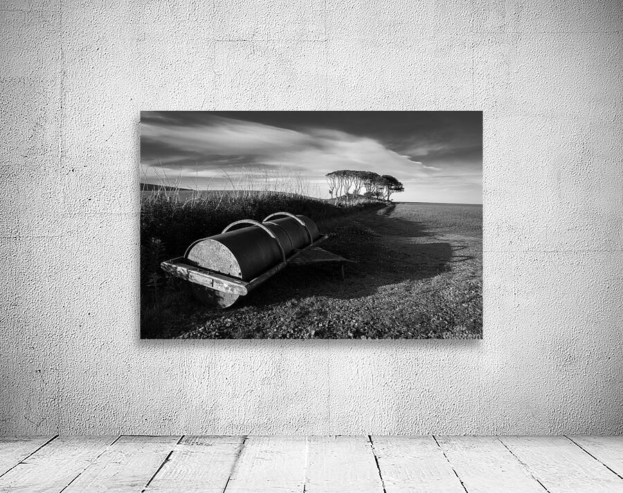 Crawton Field Roller Wall Preview