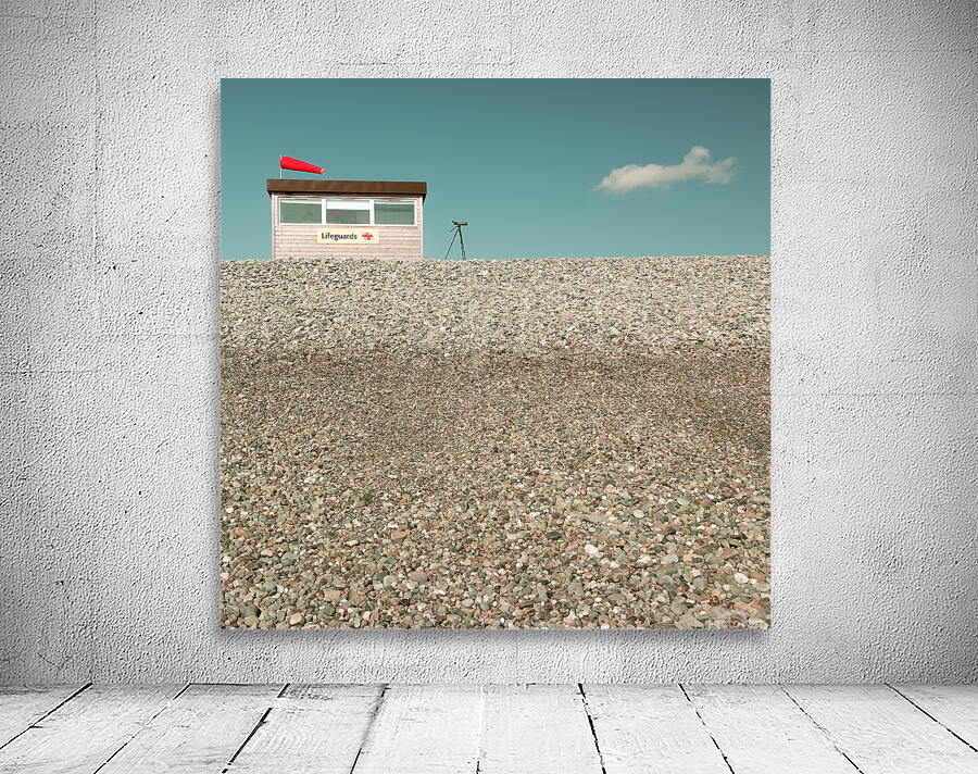 Cloud Swimmer Wall Preview