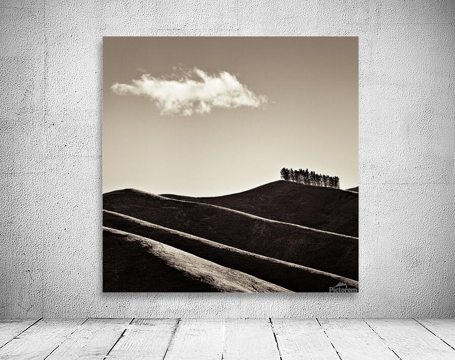 Solitary Cloud Wall Preview