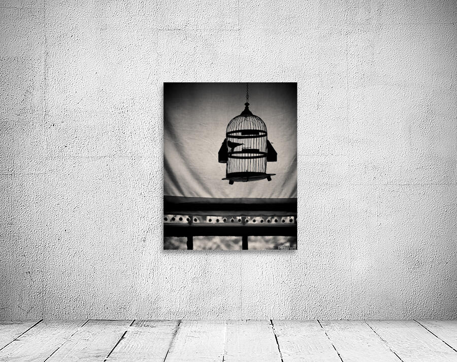 Birdcage Wall Preview