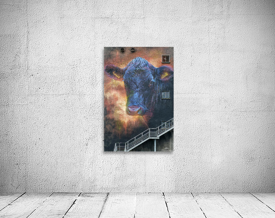 Ballymoney Cow Mural Wall Preview