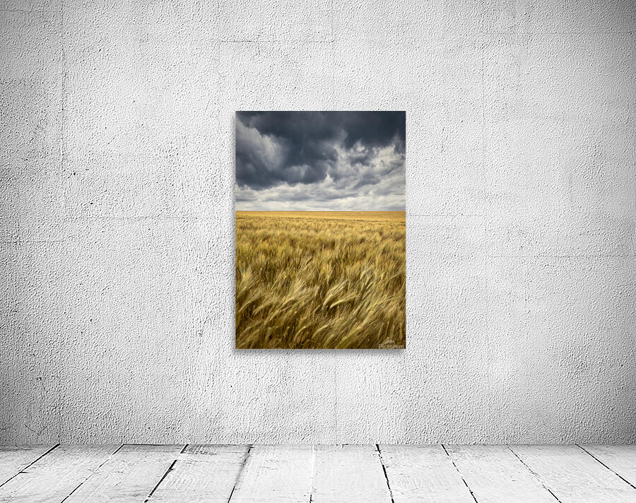 Storm Clouds Over Barley Field Wall Preview
