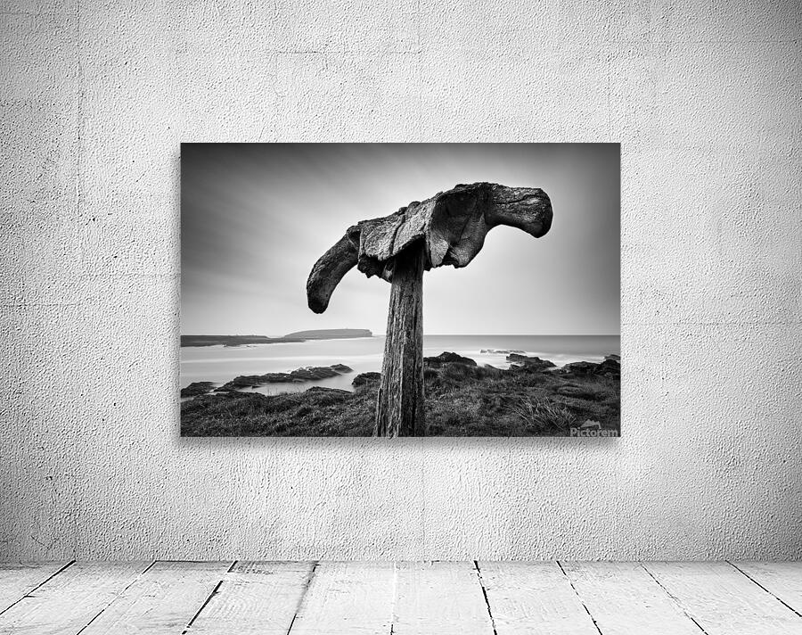 Whalebone Wall Preview