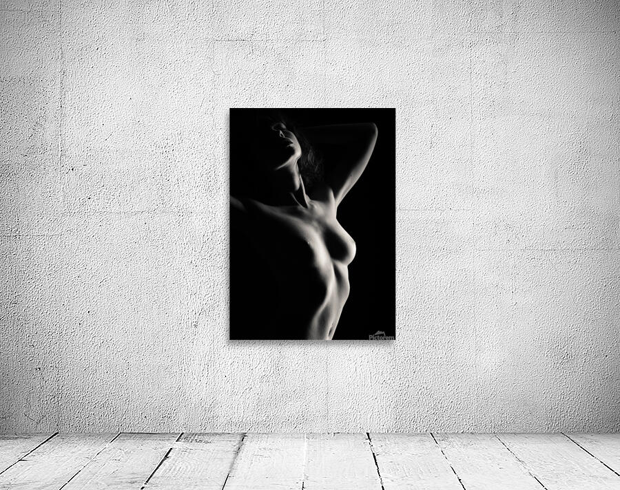 Nude Study No12 Wall Preview