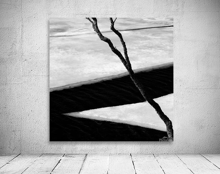 Tree and Ice Wall Preview