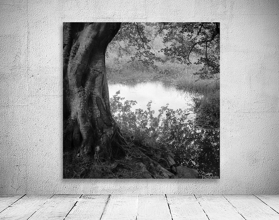 Summer Pond Wall Preview