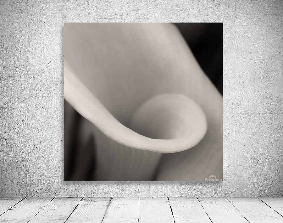 Delicate Beauty Wall Preview