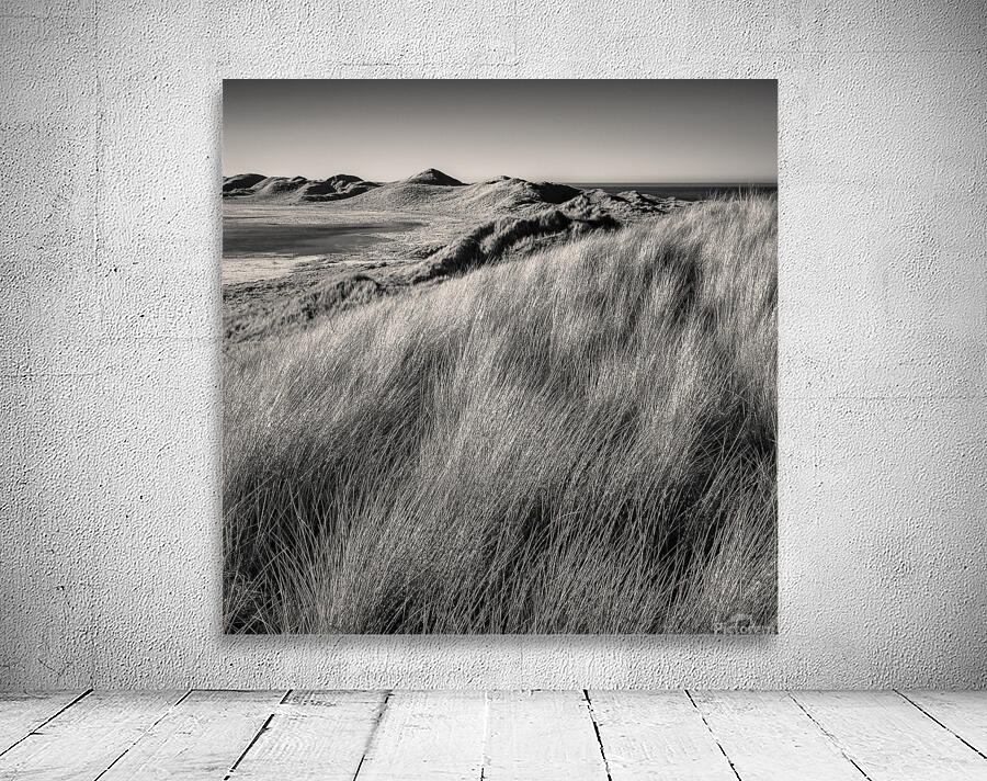 Rattray Head Dunes Wall Preview