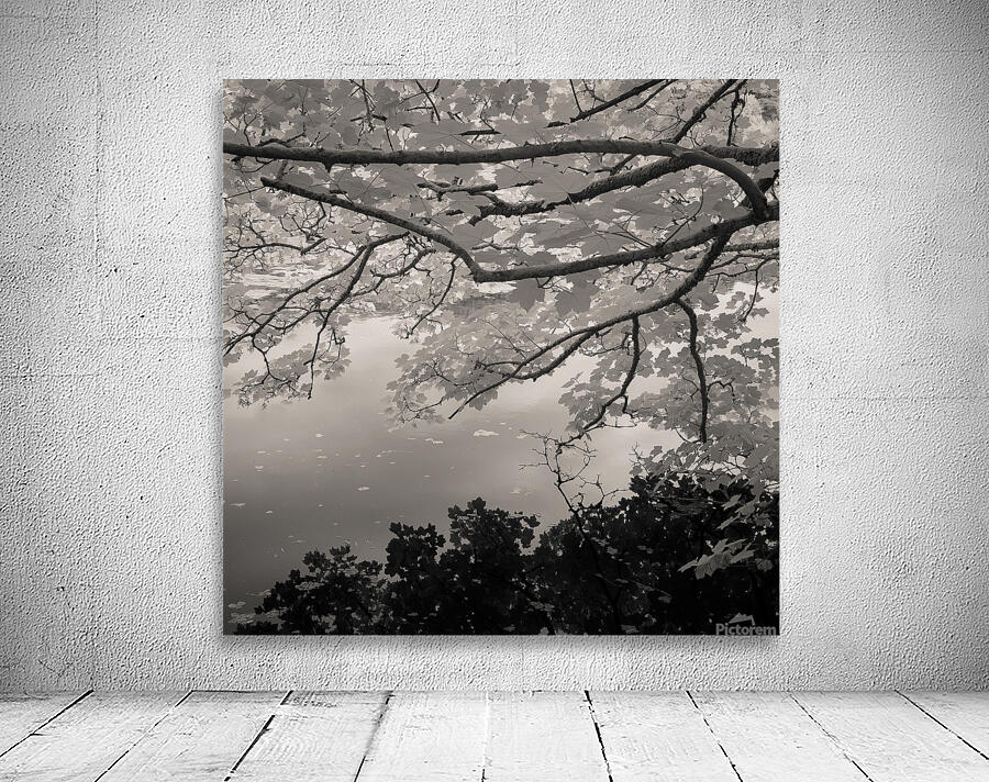 Bosherston Lakes Wall Preview