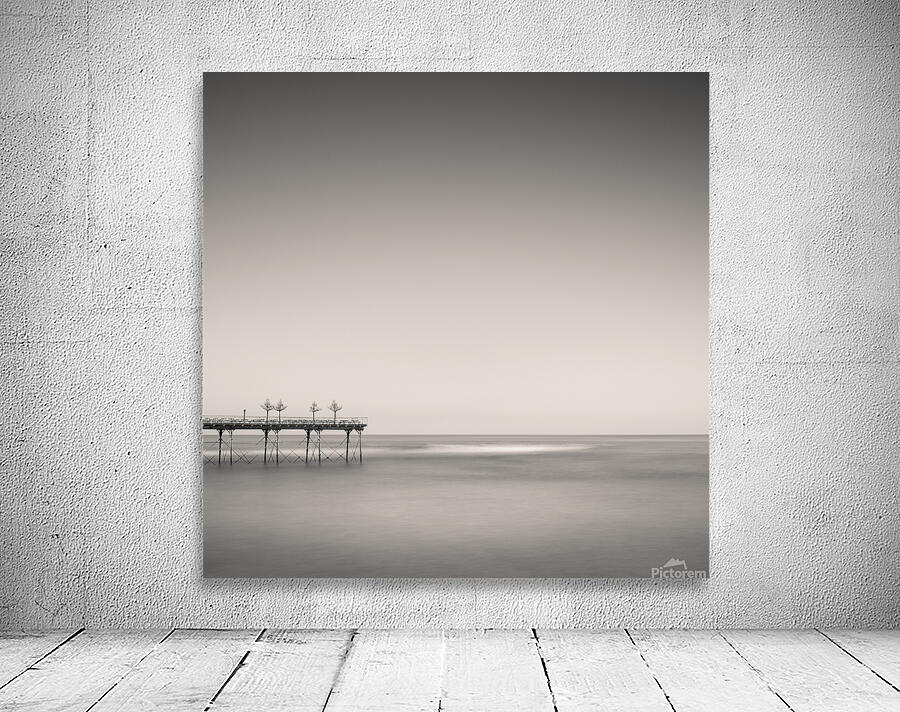 Four Trees on a Pier Wall Preview