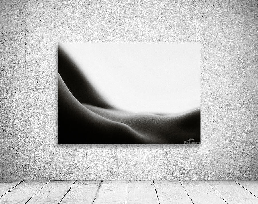 Nude Study No1 Wall Preview