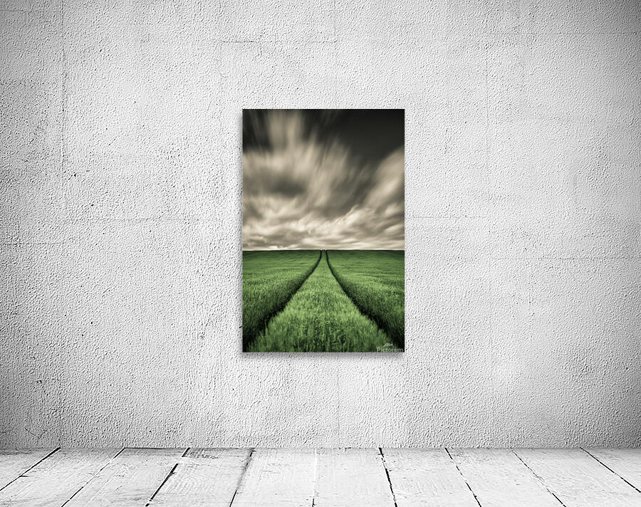 Field Tracks Wall Preview