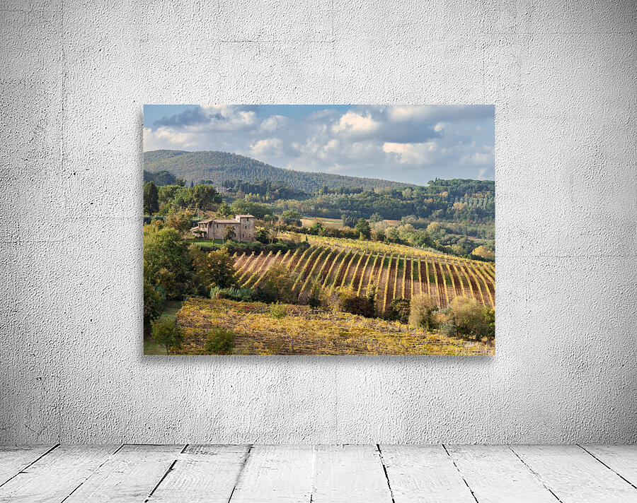 Tuscan Valley Wall Preview
