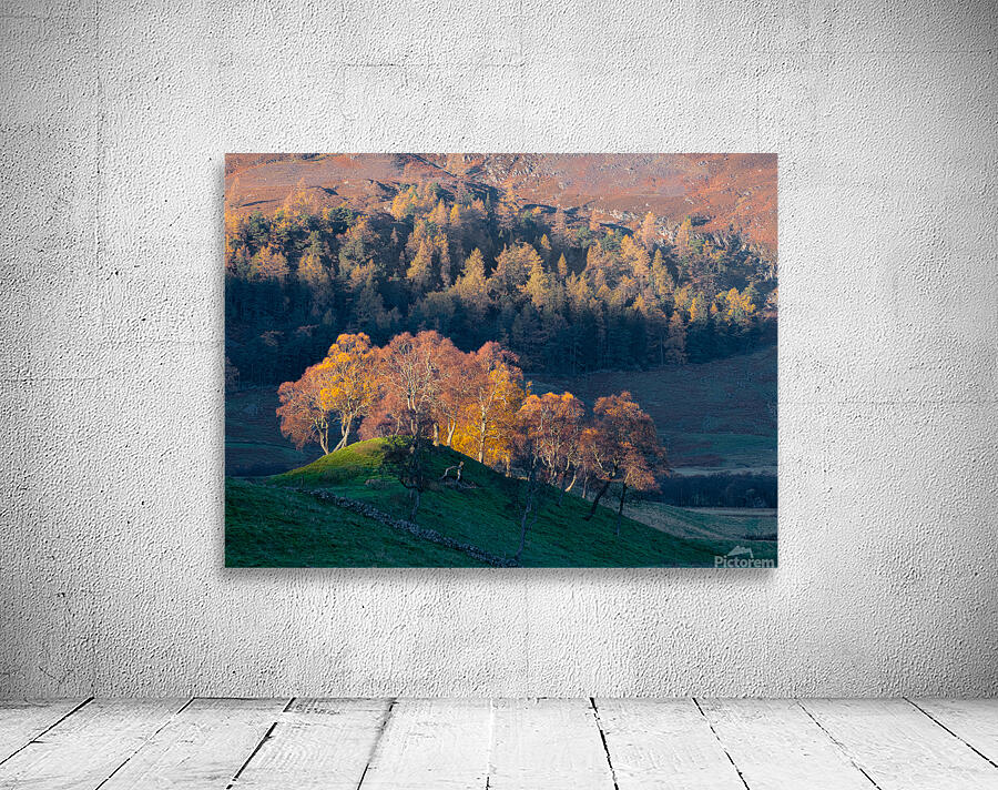 Autumn in Glenshee Wall Preview