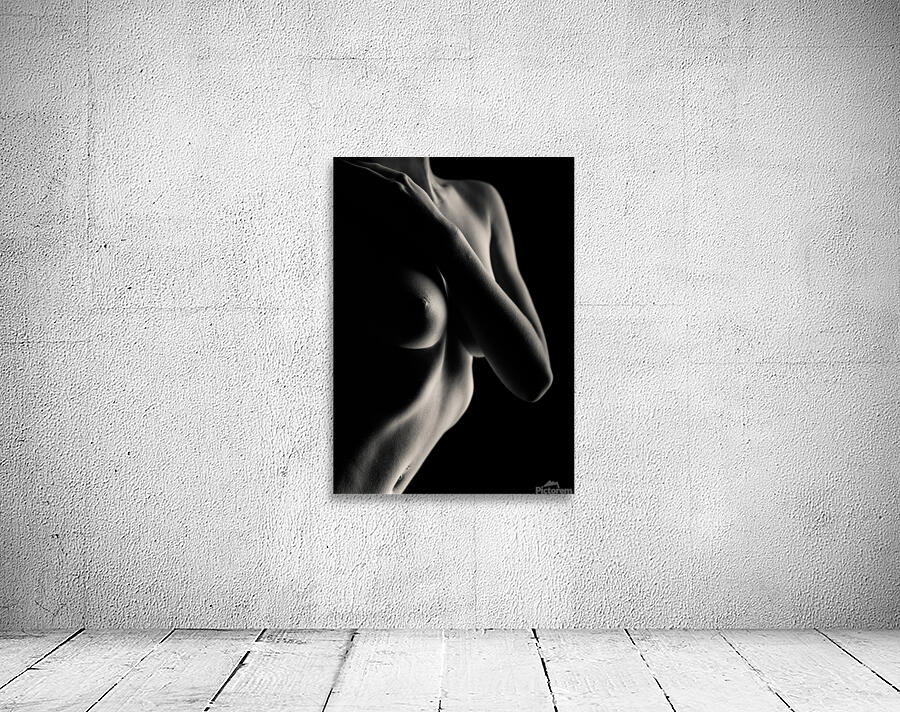 Nude Study No11 Wall Preview