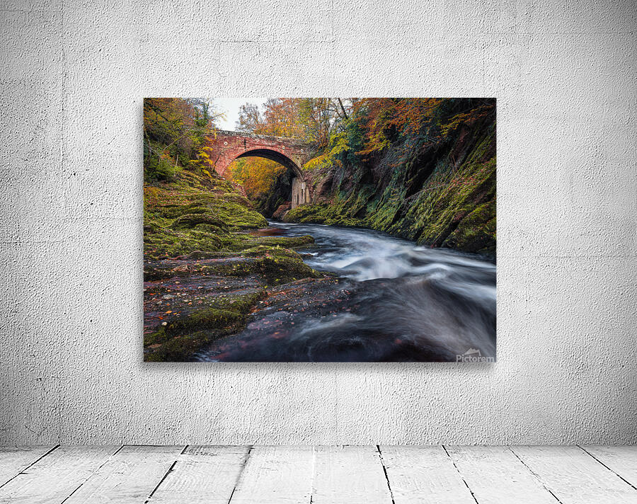 Autumn at Gannochy Bridge Wall Preview