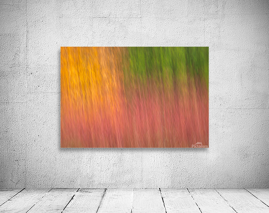 Autumn Pastels Wall Preview