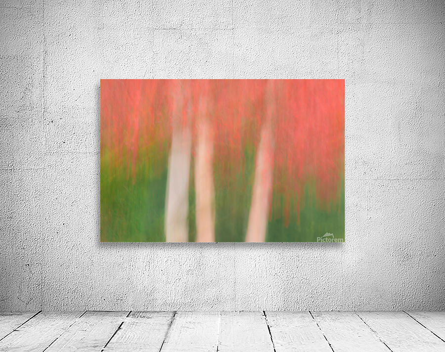 Maple in Motion Wall Preview