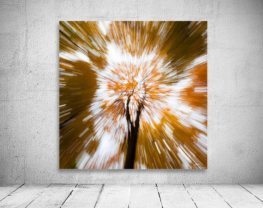 Autumn Explosion Wall Preview