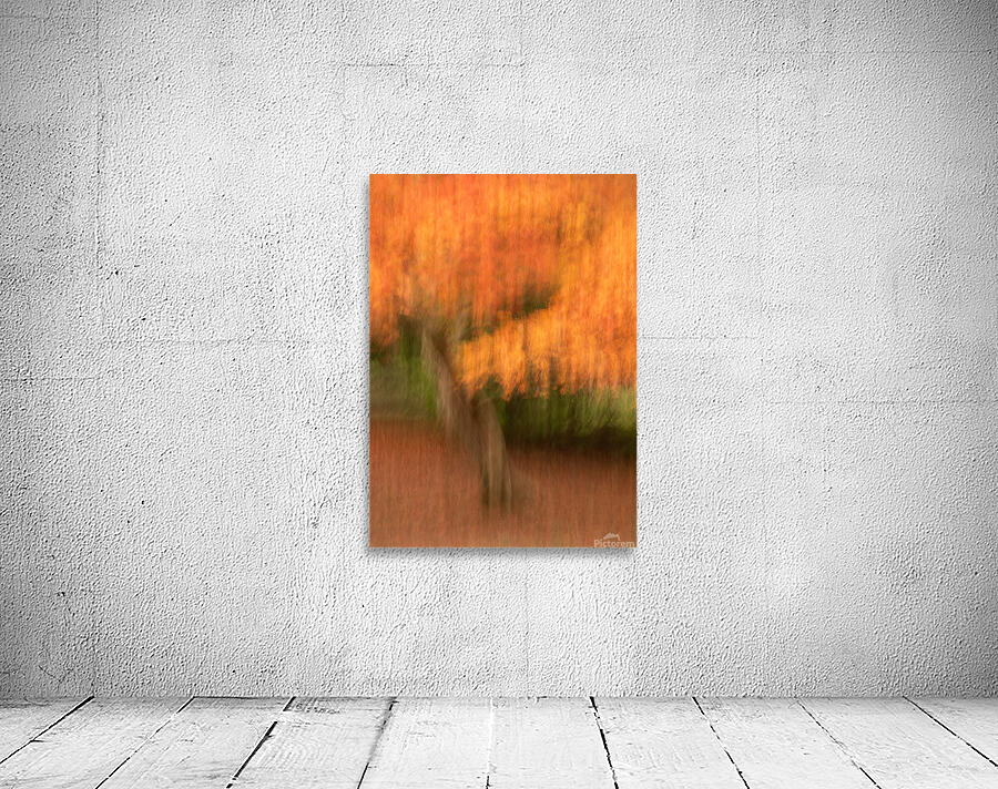 Autumn in Motion Wall Preview