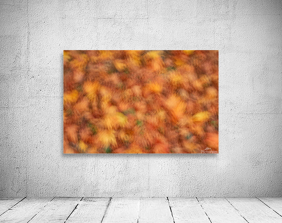 Autumn Leaves Wall Preview