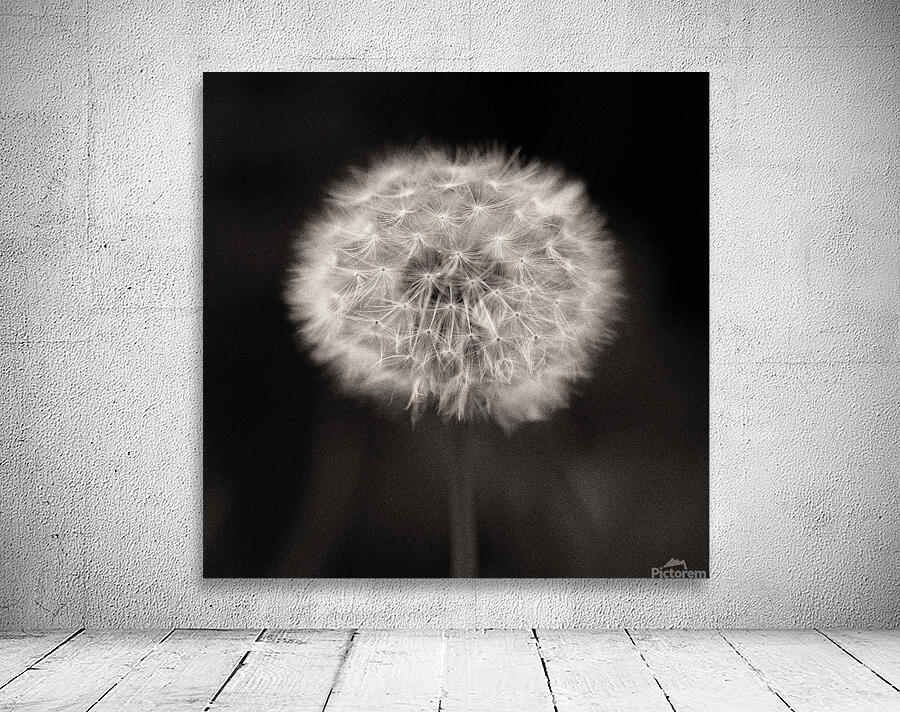 Woodland Study 5 Wall Preview