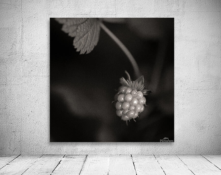 Woodland Study 10 Wall Preview