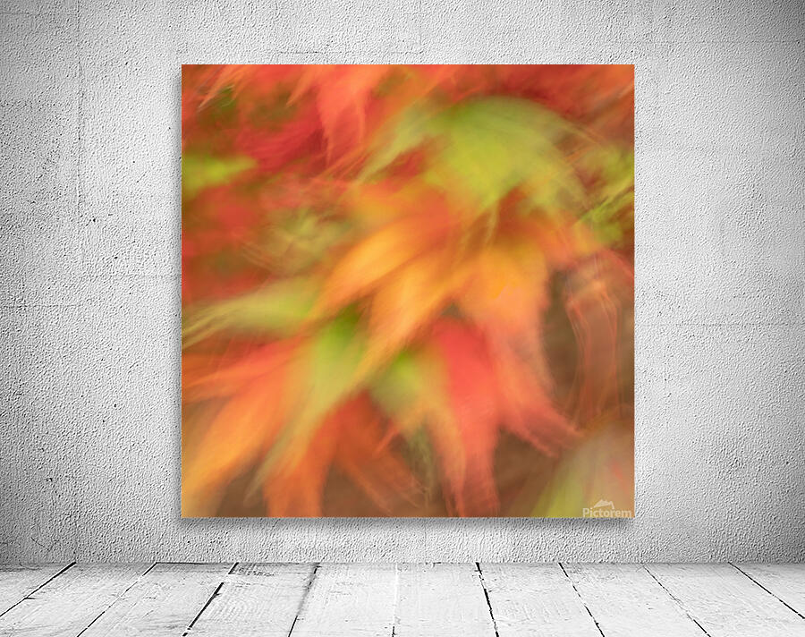 Autumn Collage Wall Preview