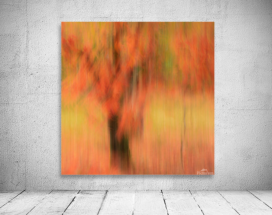 Autumn Mirage Wall Preview