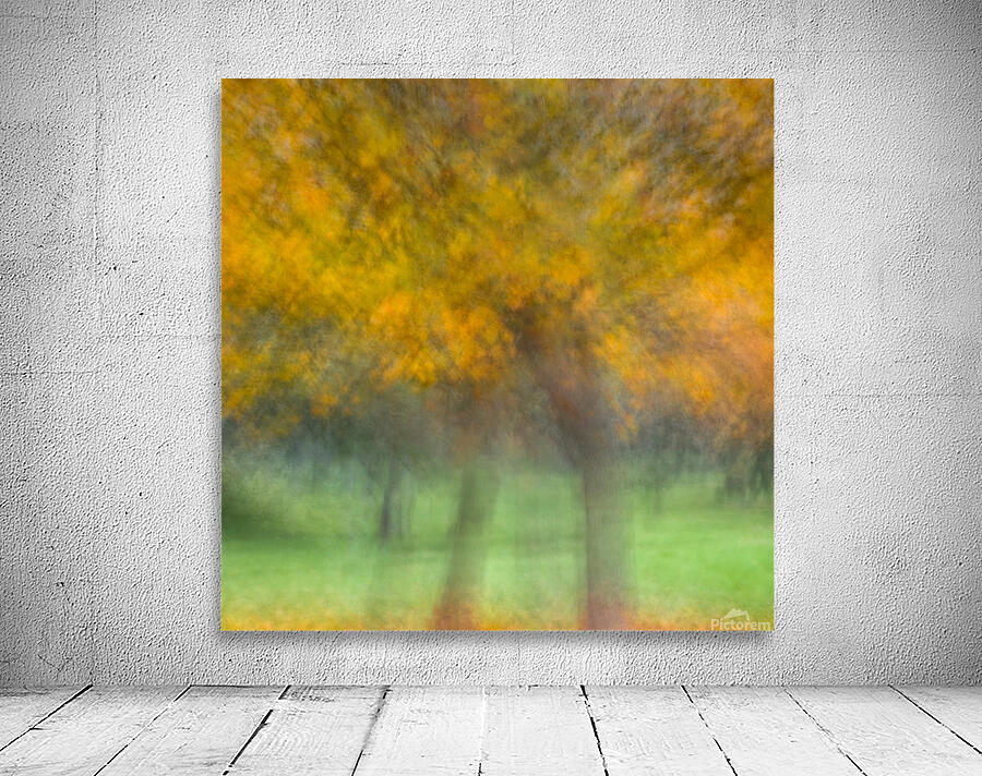 Autumn Shimmer Wall Preview