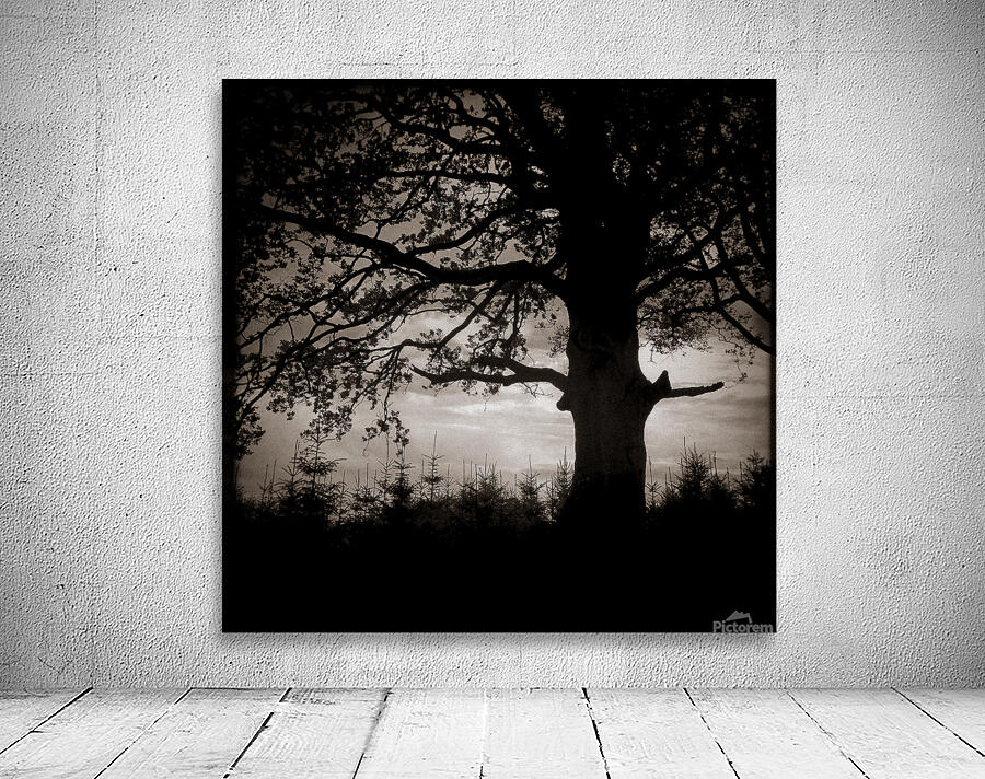 As the Day Fades Wall Preview