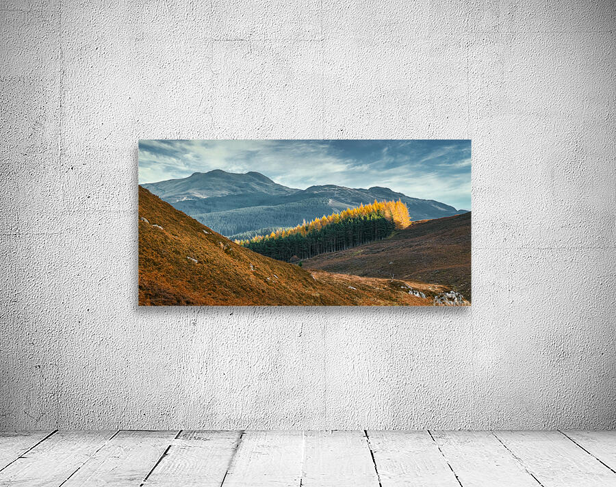 Tay Forest Edge Wall Preview